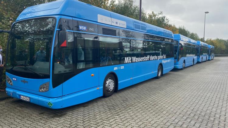 WSW-Wasserstoffbusse